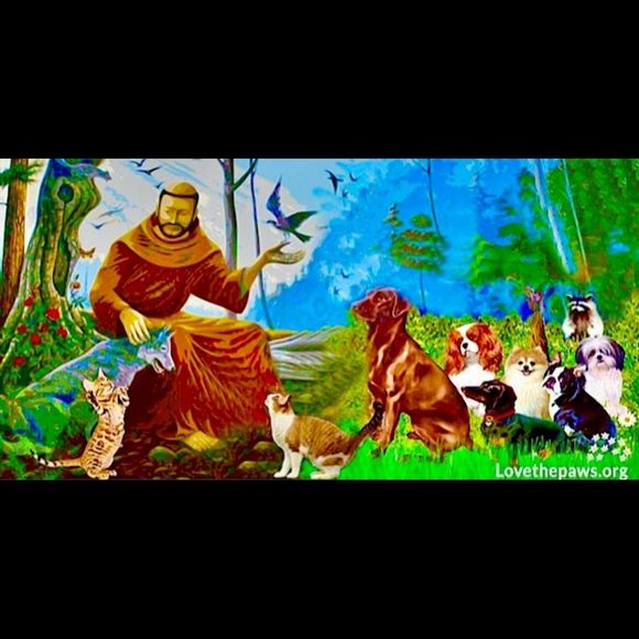 ST FRANCIS TAG MEDAL WITH STERLING NECKLACE & CARDS PET CHARITY - Picture 13 of 15